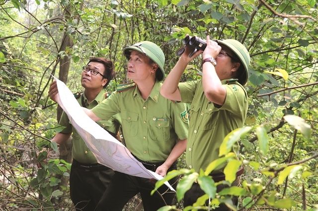 Forest rangers patrol and monitor forest areas at the Van Long Wetland Nature Reserve in Ninh Binh Province. - Photo: VNA/VNS
