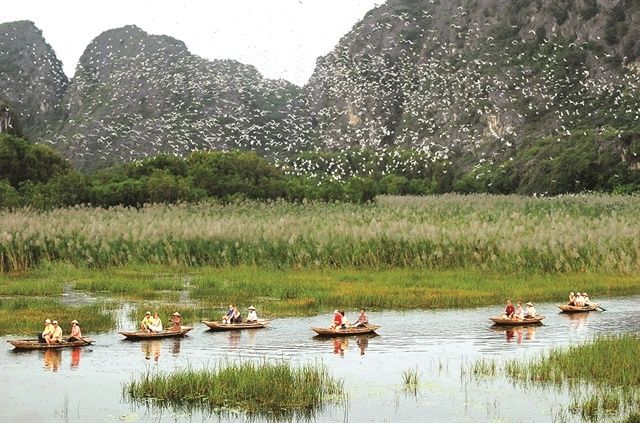 Tourists sail along the Van Long Wetland Nature Reserve. - Photo courtesy of Ninh Binh Department of Tourism