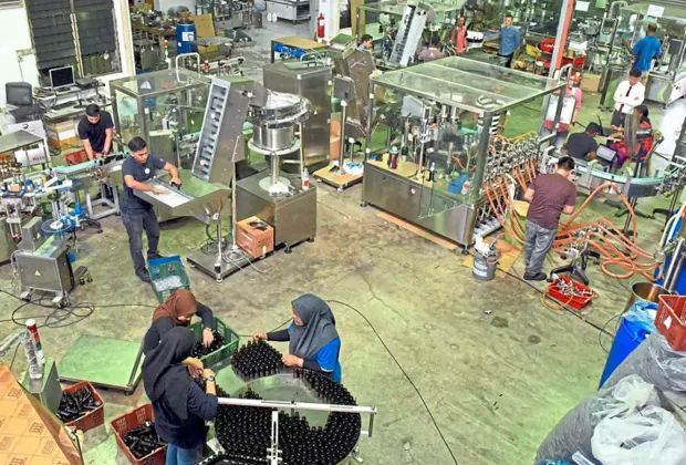 The government has launched a RM205mil programme to help mic