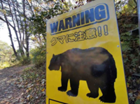 Japanese city suspends 94 schools after first-ever bear sighting