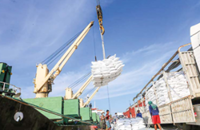 Myanmar exports over 300,000 tonnes of rice in beginning of FY2026-27