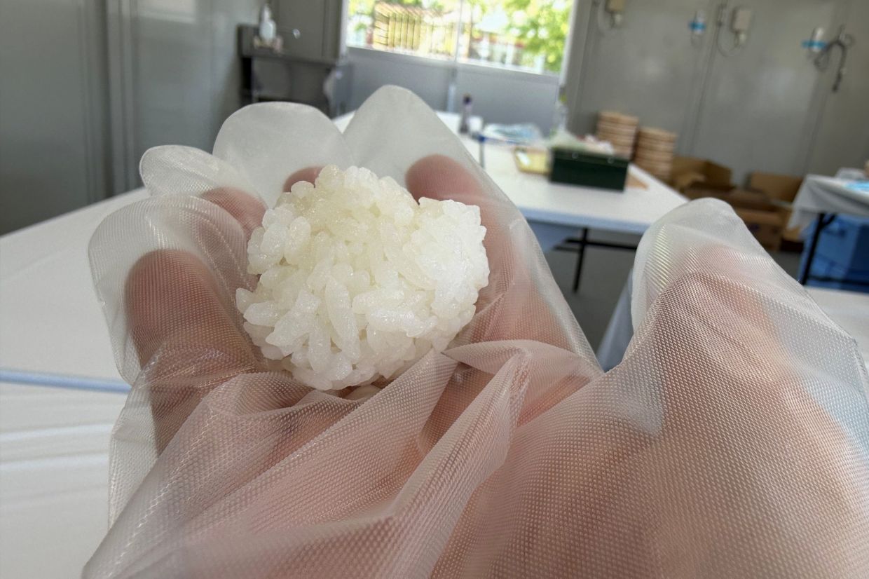 This photo shows a small handful of rice that a person starts with when making sushi at a lesson for novices in Tokyo, on May 15, 2026. (AP Photo/Yuri Kageyama)