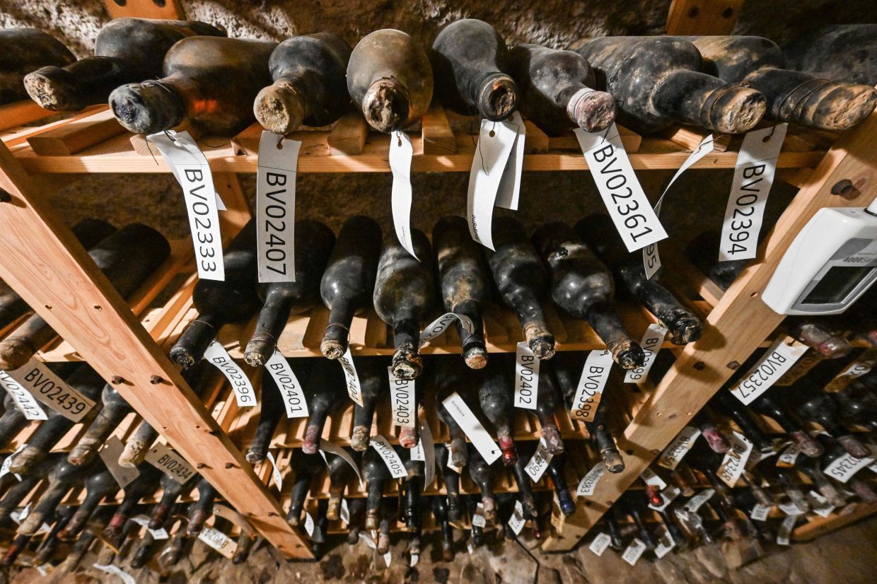 Bottles of 19th-century wine lie on a shelf in a cellar of Becov castle.