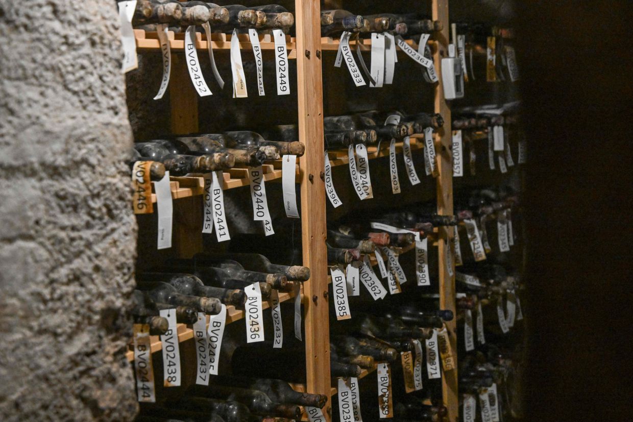 Bottles of 19th-century wine lie on a shelf in a cellar of Becov castle.
