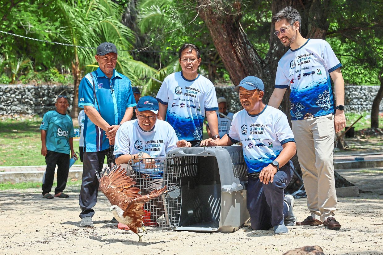 Director-general of Fisheries Datuk Adnan Hussain said risin