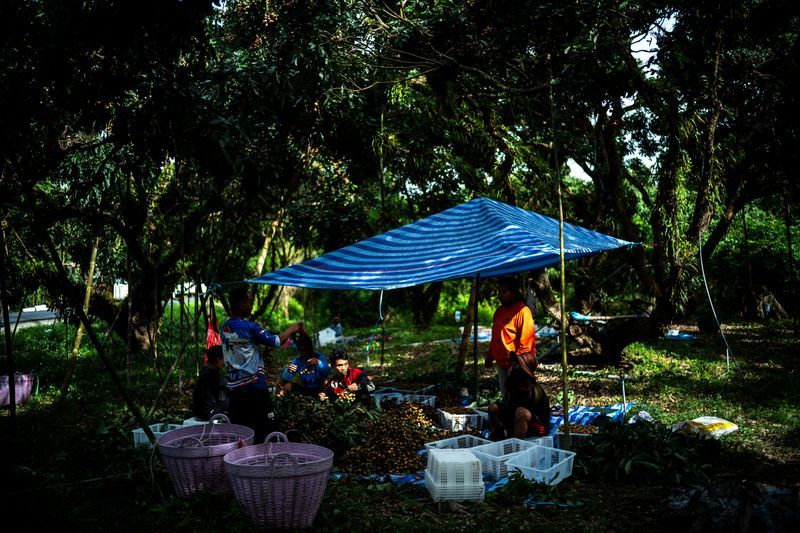 Thai authorities have worked with employers to ​ensure refug