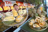 Champion scions give Penang durian its edge