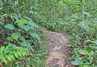Strengthening trail safety