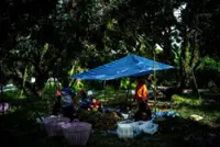 Thai jobs for Myanmar refugees could show way forward for Asian nations, UN says