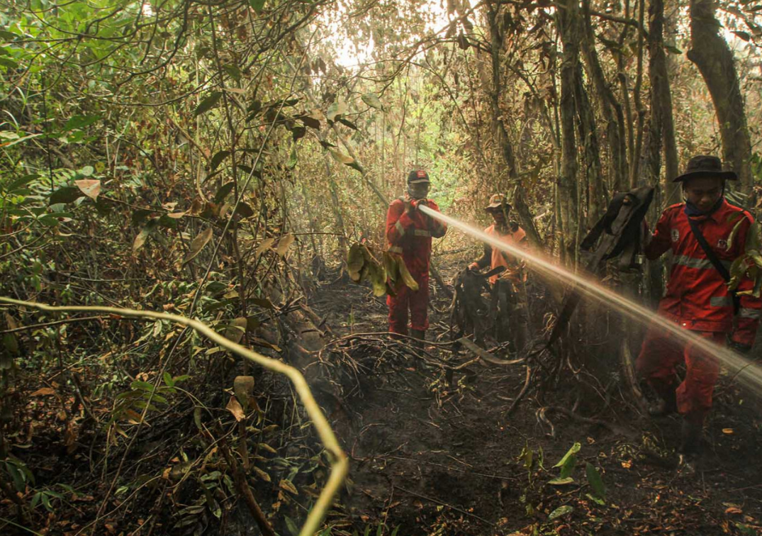 Indonesia is facing a heightened risk of forest and land fir