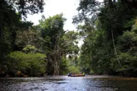 ‘Protect nature as tourism grows’