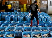 Japan wholesale inflation accelerates to fastest in 3 years as energy costs spike