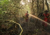 Indonesia braces for rising forest fire risks from dry season: Weather agency
