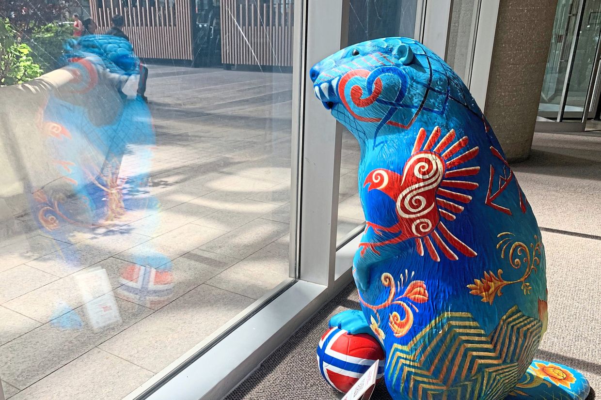 A Norway beaver peers through a window from the lobby of an office building in Toronto. Photo: AP