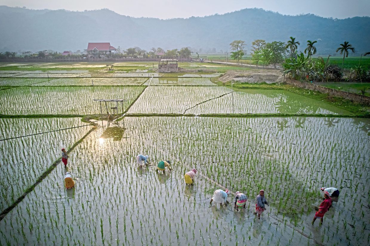Nafas and its subsidiaries remain committed to ensuring a sm