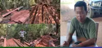 Cambodia investigating alleged illegal logging kingpin
