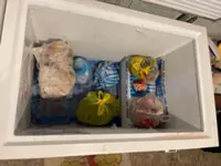 Sabah authorities nab man for allegedly selling endangered animal meats