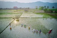 Nafas strengthening fertiliser supply chain for national food security