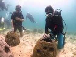 Brunei royalty join coral planting initiative