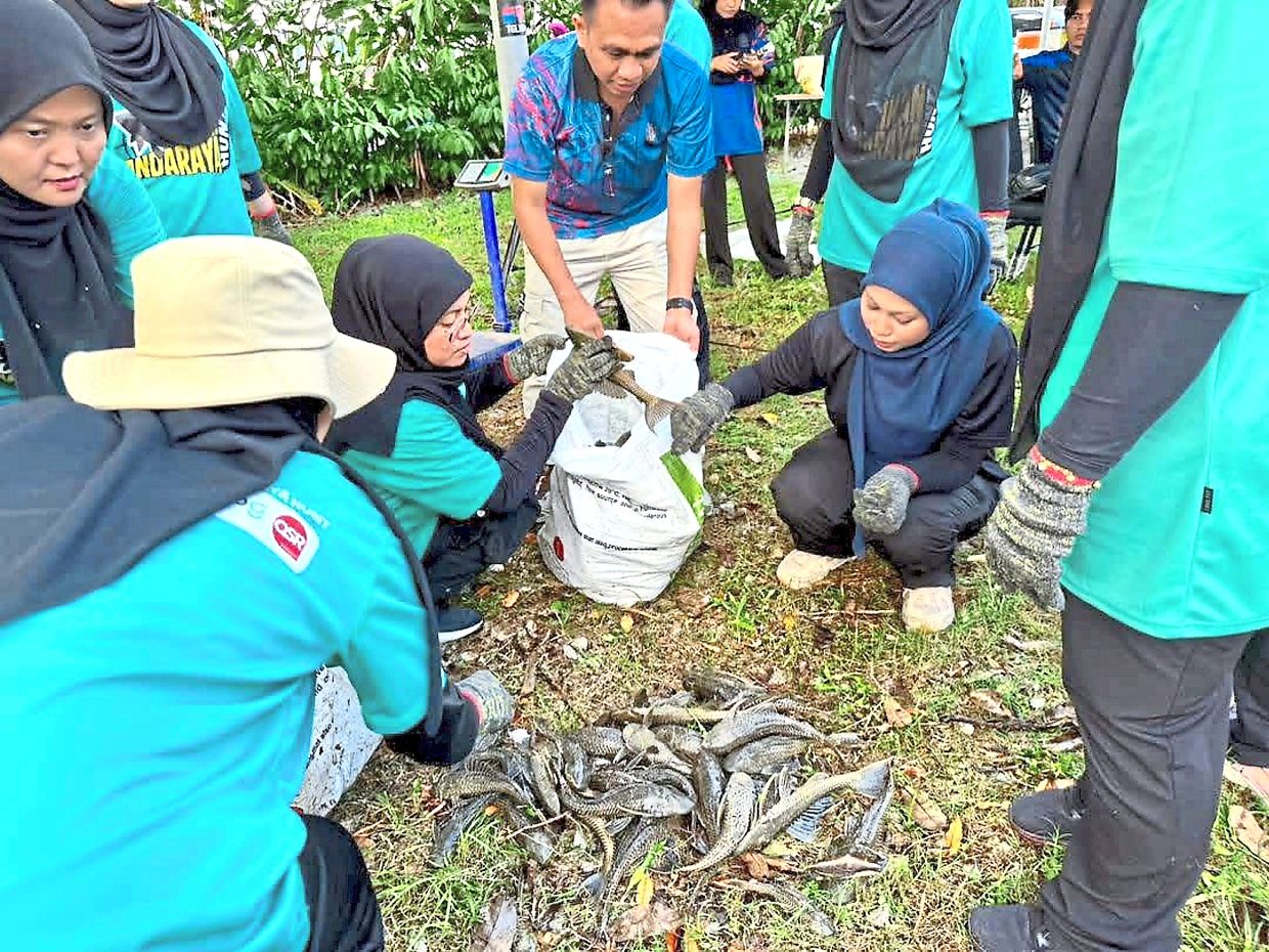 Johor Fisheries Department director Rosmawati Ghazali said n
