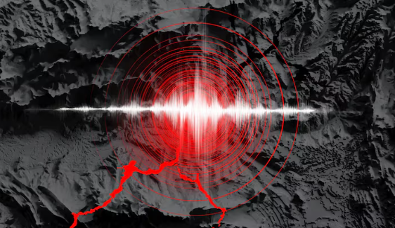 The department reported that the quake occurred at 4.05am. I