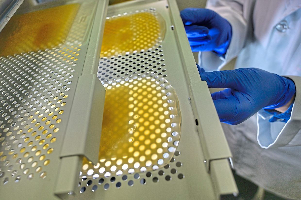 Platelets have unique storage requirements that differ from red blood cells. They must be stored at room temperature and require constant, gentle agitation to maintain their viability and stability.
