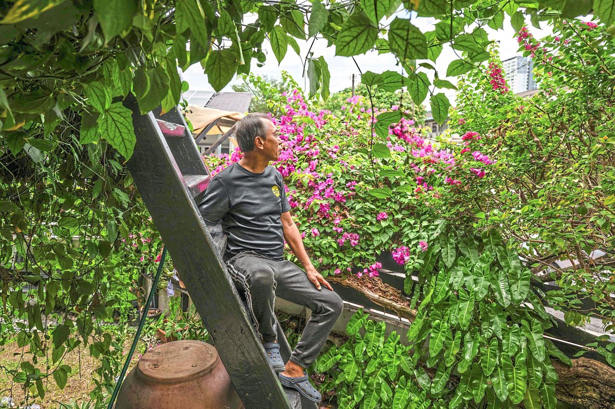 Local resident and citizen scientist Tan said working on the langur project has made him ponder on co-existence.