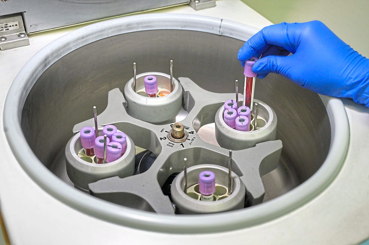 Collected patient samples are centrifuged before blood group confirmation and screening tests are performed.