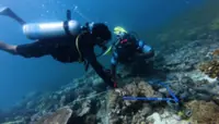 Coastal community plays vital role in ocean conservation, says NGO