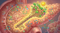 A chance to reverse type 2 diabetes
