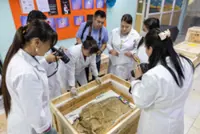 Smuggled dinosaur fossils return to Mongolia after two decades