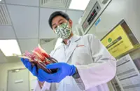 How hospitals get their blood