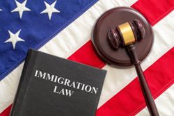 Nationals from China, India among 17 new US denaturalisation cases