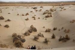 China warns of risk of 'extreme floods' in desert regions
