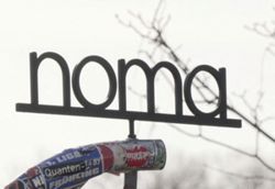 Famed restaurant Noma to re-open with new leadership after staff abuse scandal