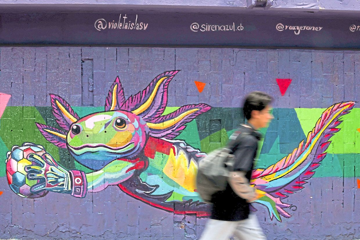 A man walking past a wall featuring a mural of an axolotl holding a football in Mexico City. — Photo: REUTERS/Quetzalli Nicte-Ha 