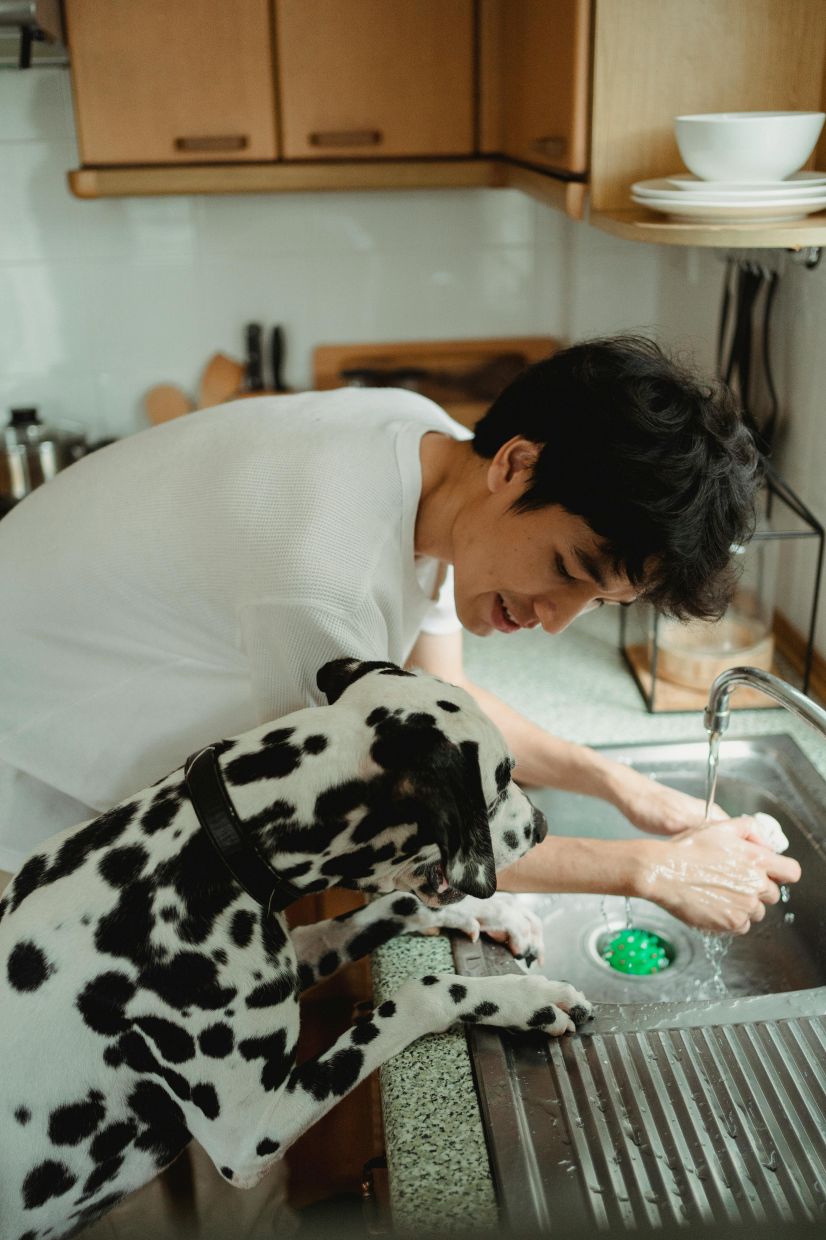 It's important to always wash your hands after handling pets. — Pexels