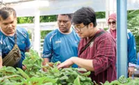 Growing green businesses