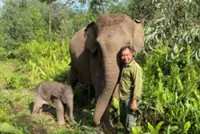 Indonesia welcomes elephant calf born in the wild in Riau