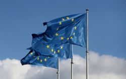 EU Commission looking at practical consequences of Anthropic decision, spokesperson says