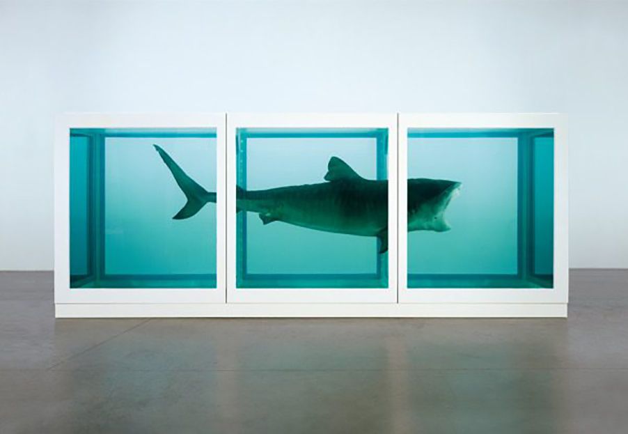 One of Hirst's iconic works 'The Physical Impossibility Of Death In The Mind Of Someone Living' (glass, painted steel, silicone, monofilament, shark and formaldehyde solution, 1991) remains a crowd favourite.