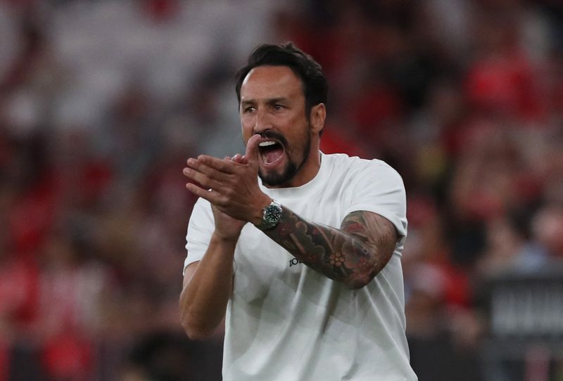 Soccer-Wolves appoint Peixoto as new boss