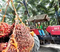 Hap Seng to benefit from high CPO price