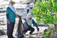 Over 350 join Brunei beach clean-up
