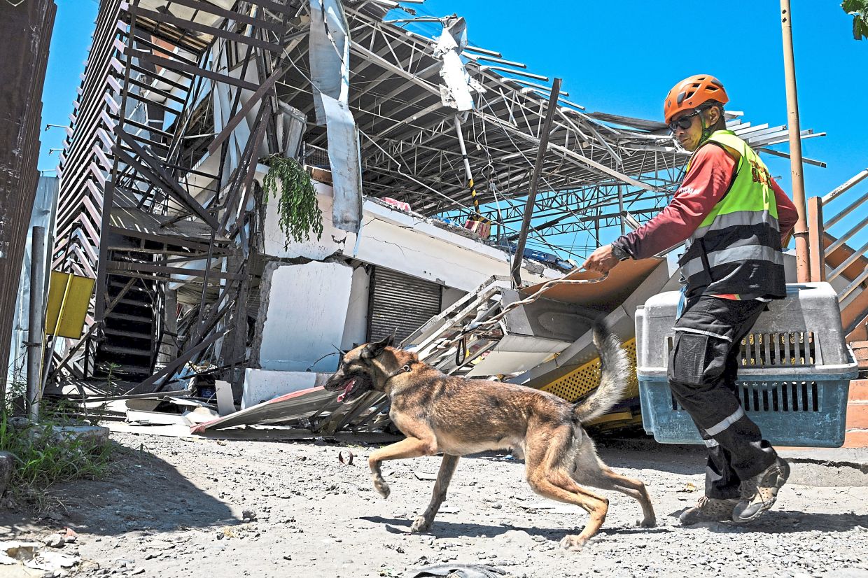 A rescue worker following a search-andrescue dog through the rubble of a collapsed grocery store in Calumpang as the search for survivors continues. — Reuters