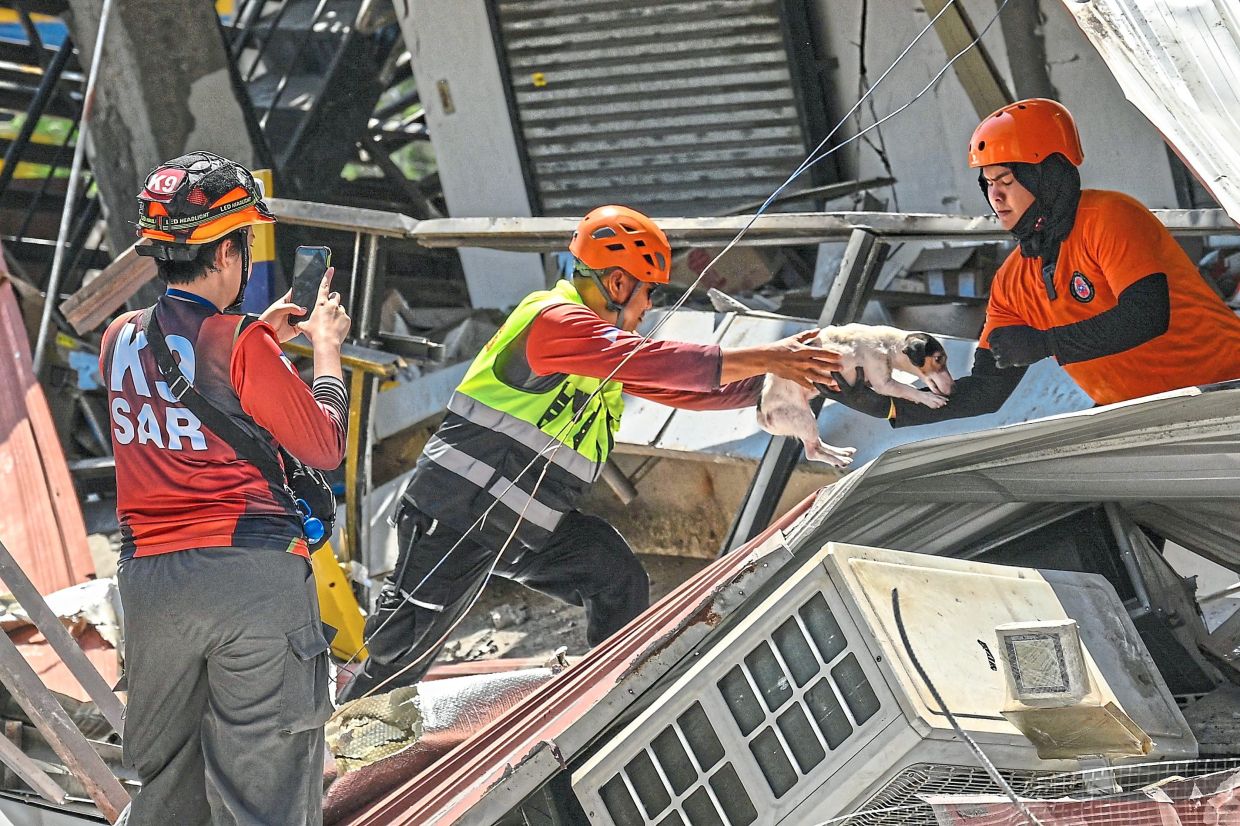 Rescuers deploying a sniffer dog to scour the ruins of a collapsed building for signs of life beneath the debris. — AFP
