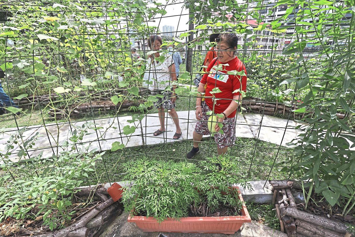 1Razak Mansion residents pictured at their community food forest planting area.