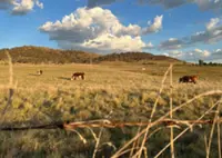 Australia declares El Nino set to be strongest in decades