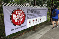Singapore on alert as dengue cases hit 119