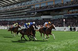 Horse racing - Shock 50-1 winner takes opening race at Royal Ascot